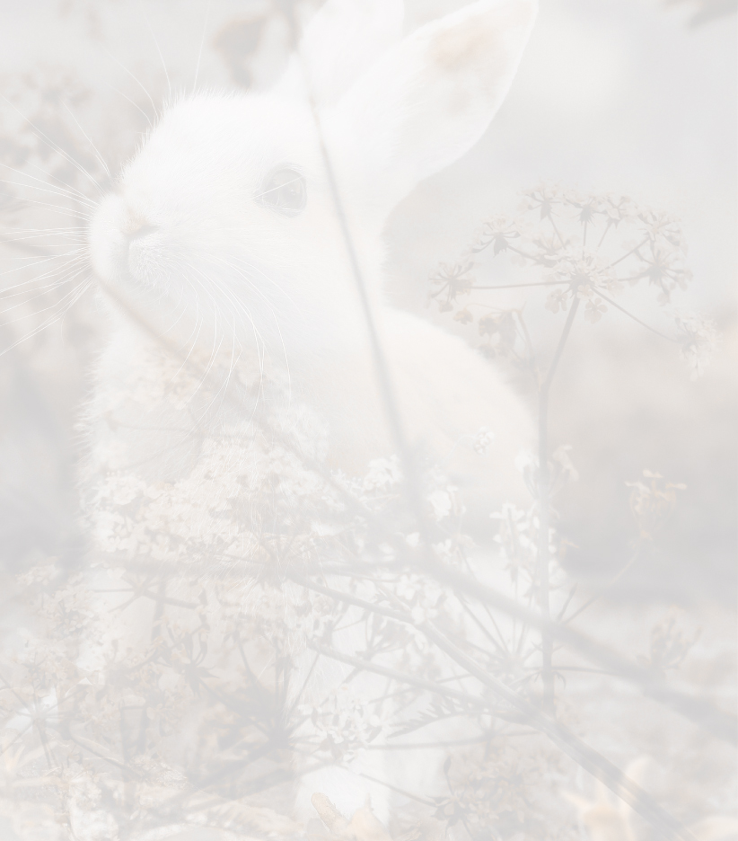 Preisliste Preisliste